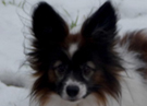 Asti