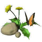 animierter Schmetterling